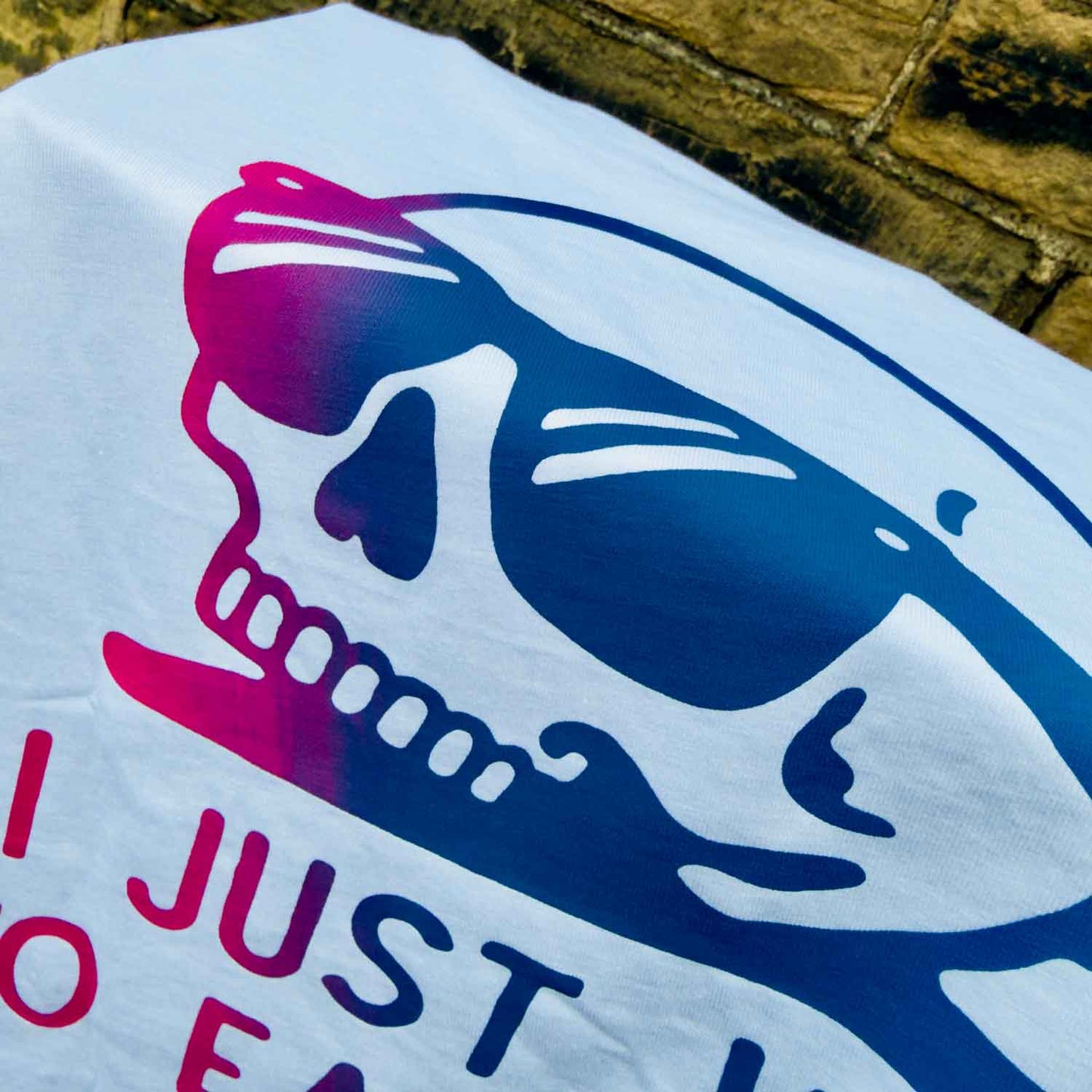 I JUST WANT TO EAT CRISPS - T-SHIRT