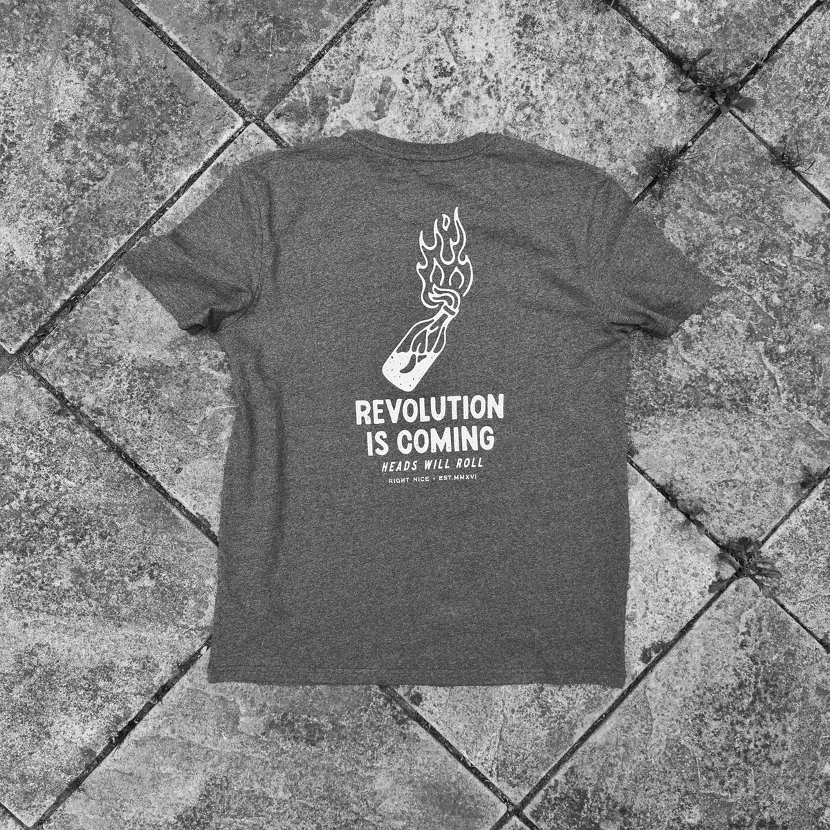 REVOLUTION IS COMING - T-SHIRT